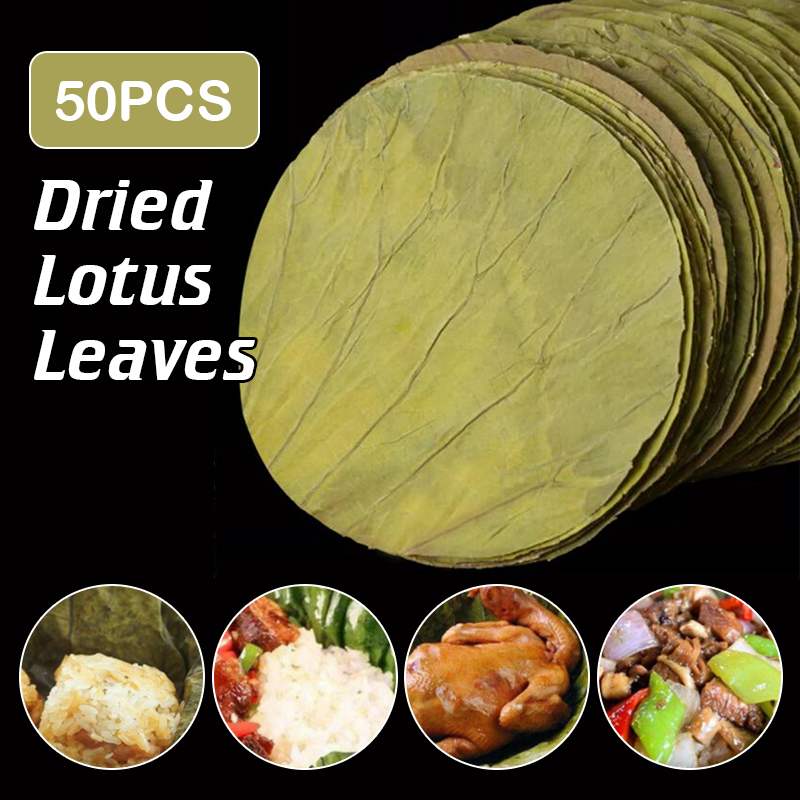 50Pcs 22cm Große Natürliche Ge – Home Cooking Recipes Bewertung und Preis